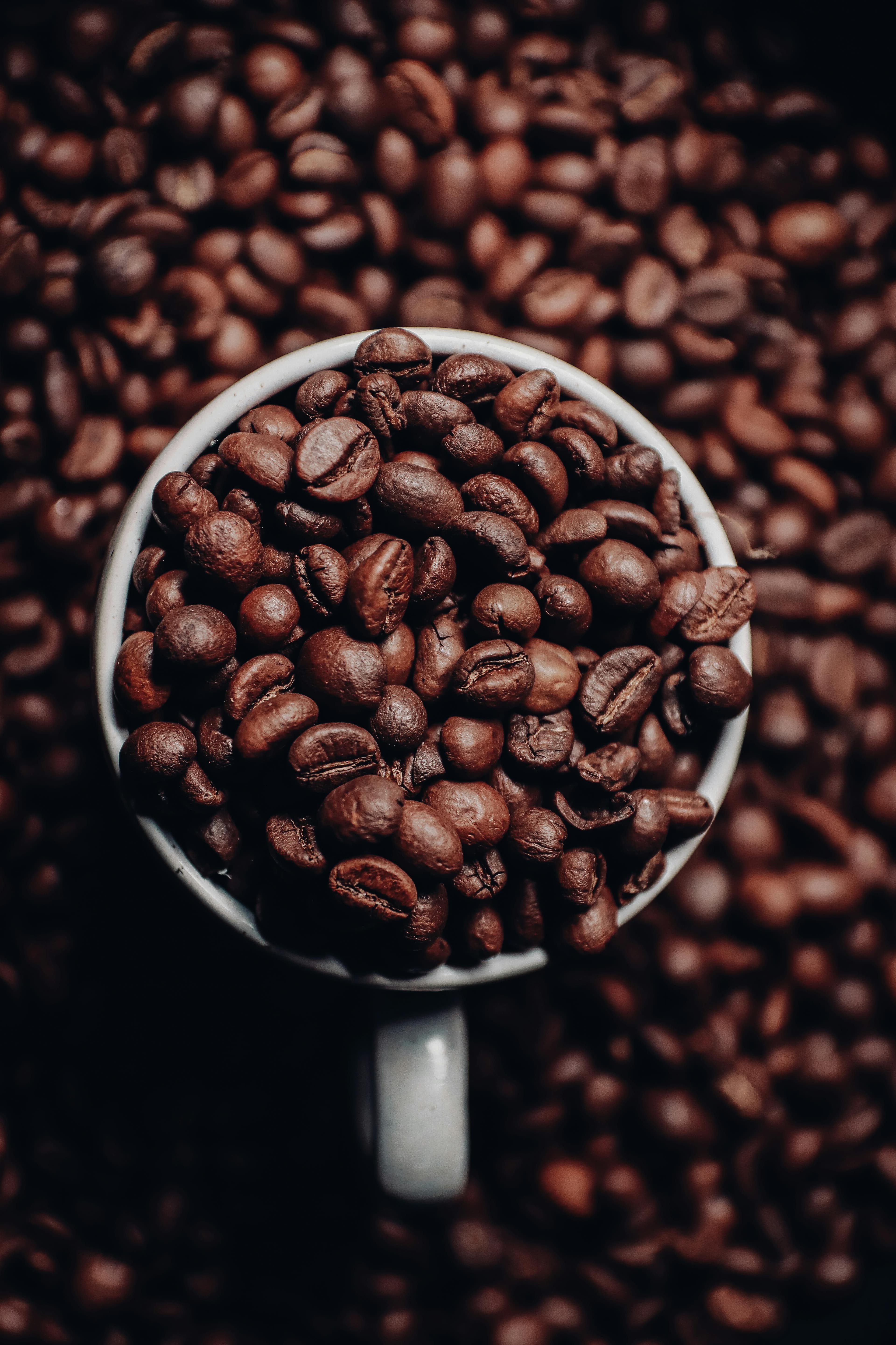Coffee beans in a bowl